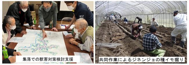 獣害対策検討・ジネンジョ共同作業