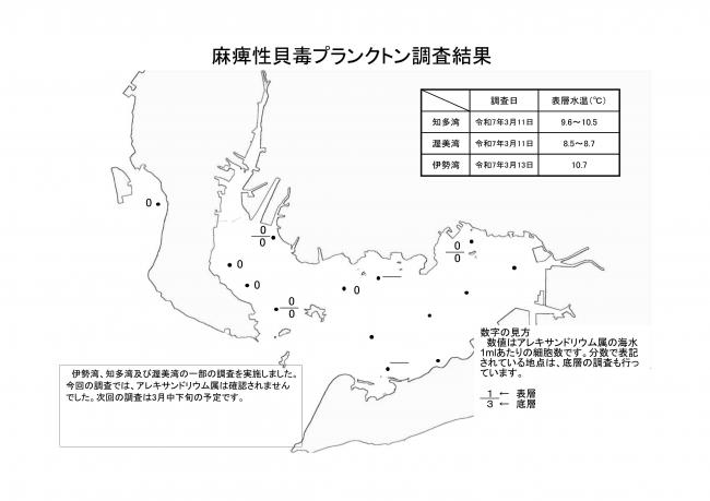 麻痺性貝毒プランクトン調査結果20250311