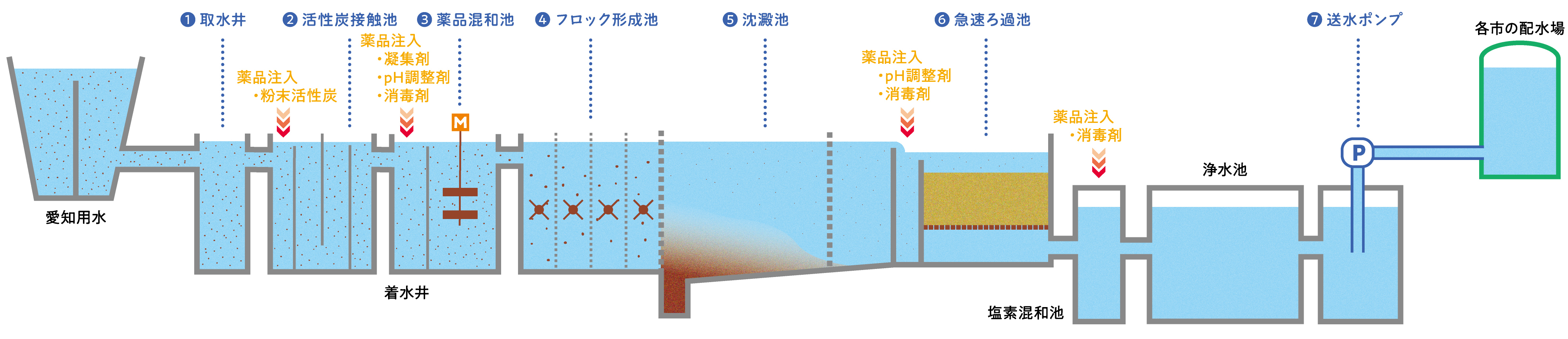 浄水処理の模式図