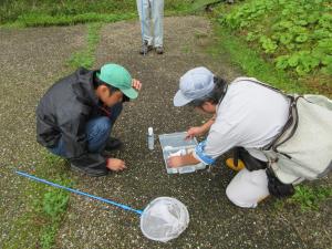 生物多様性調査