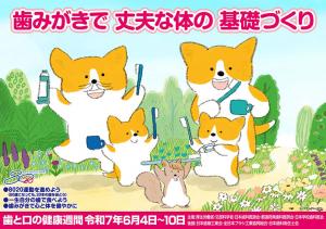 歯磨きで丈夫な体の基礎作り