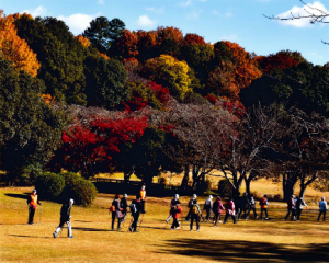 森林公園元気に歩く