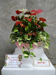 0001 あいちの花