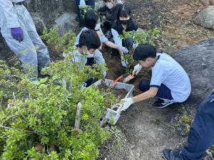 児童によるアジサイの植栽