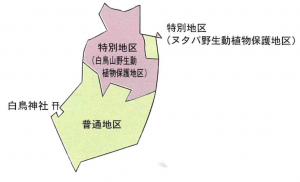 白鳥山自然環境保全地域