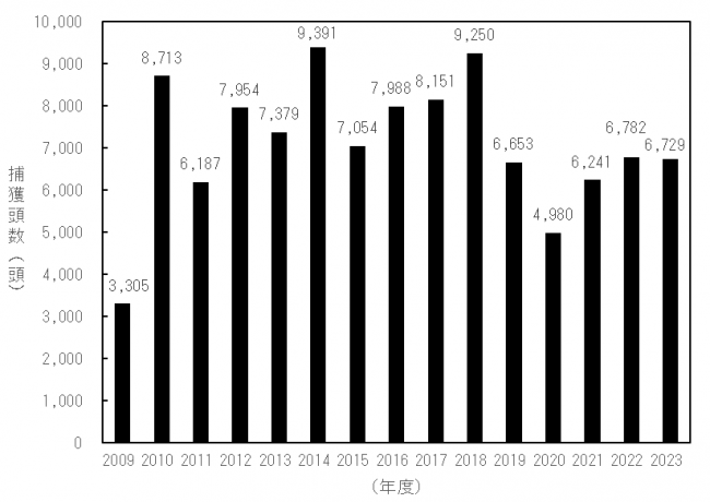 イノシシ捕獲頭数推移