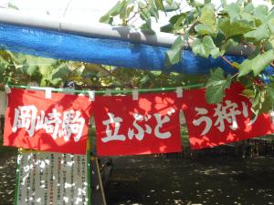 駒立ぶどう狩りの旗