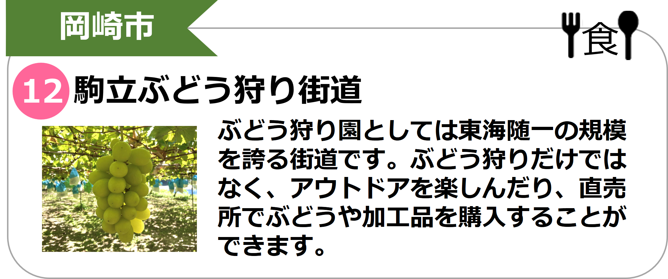 駒立ぶどう狩り街道