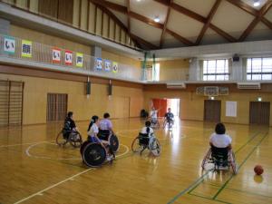 赤いバラの写真です。