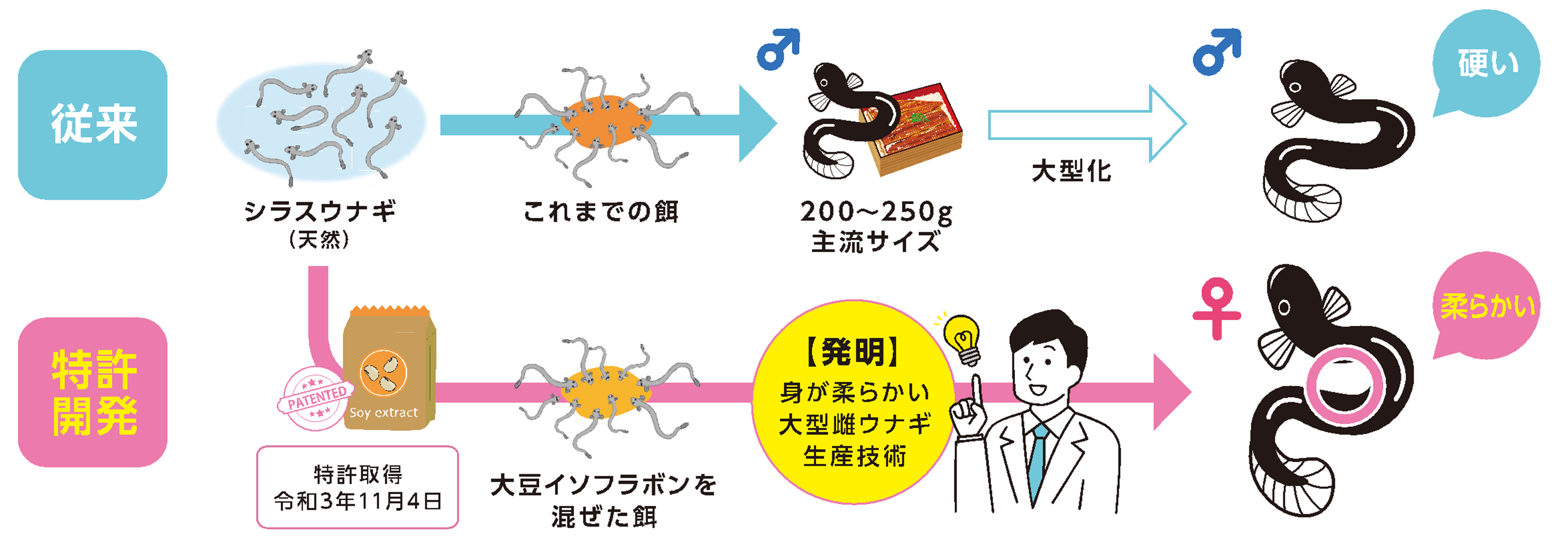 特許技術の模式図