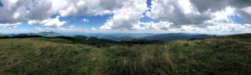 max patch