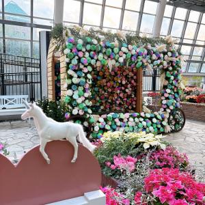 花のディスプレイ