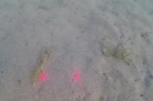 粘土法ー佐久島ーDL-1