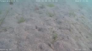 粘土法ー佐久島ーDL-2