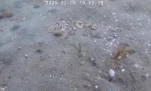 粘土法ー佐久島ーDL-3