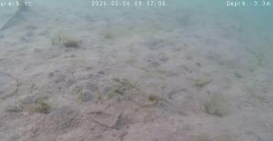 コロイダル法ー佐久島ー２