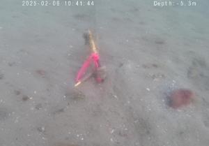 コロイダル法ー佐久島ー３