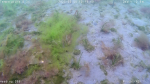 ポット法―片名ー高密度