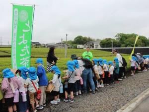 otyatumitaikennnoyousu