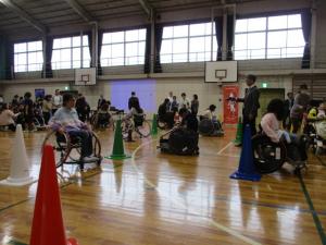 赤いバラの写真です。