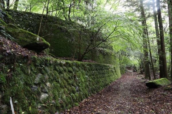 苔むした高さ３ｍほどのコンクリート擁壁
