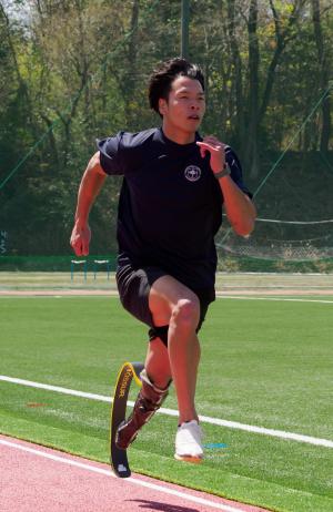 赤いバラの写真です。