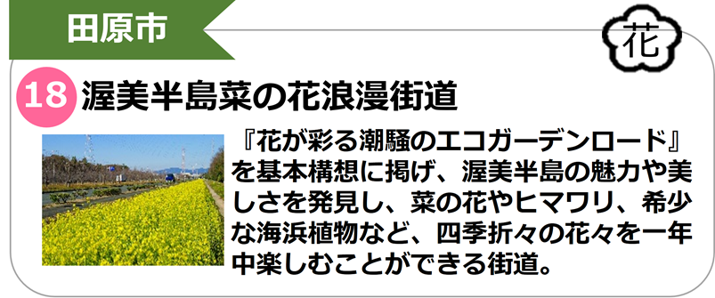 渥美半島菜の花浪漫街道