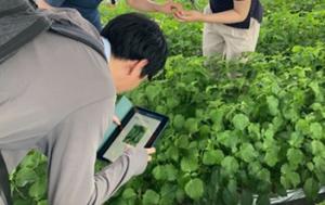 診断を行う様子