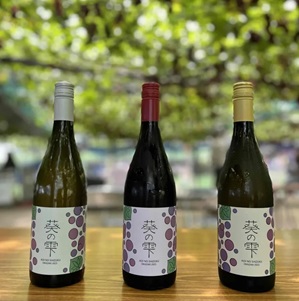 純岡崎産ワイン