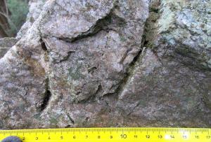 晶洞のある珪質な片麻岩の写真