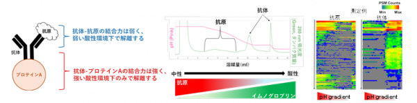 単離のイメージ測定図