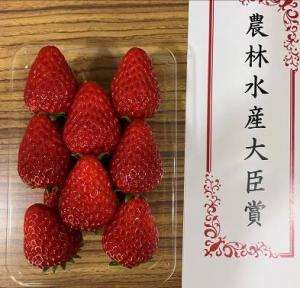 農林水産大臣賞受賞のいちご（令和6年度）