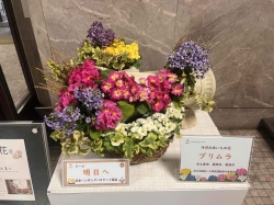 260101-1_あいちの花