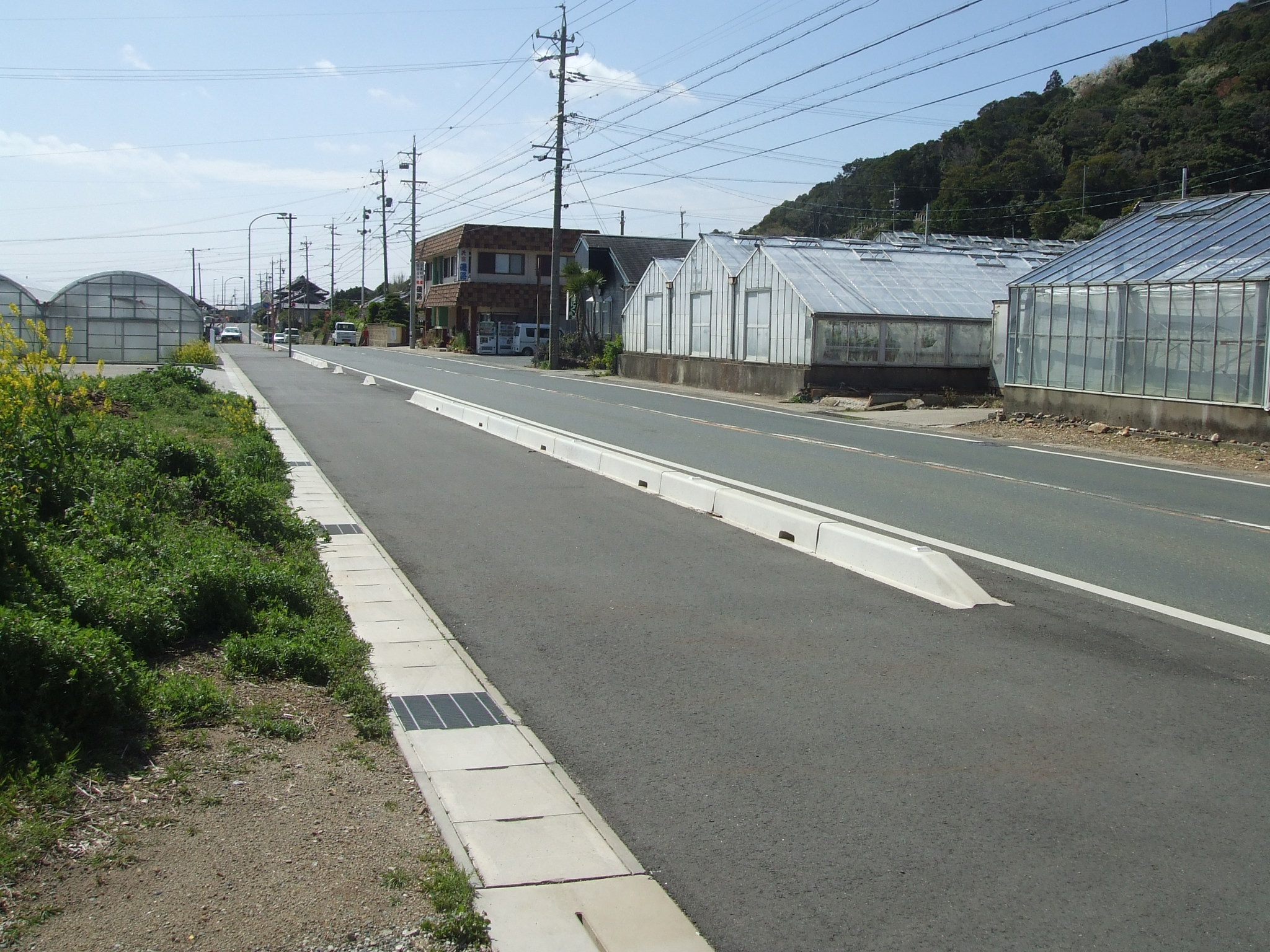 (国)42号(田原市和地町)の写真