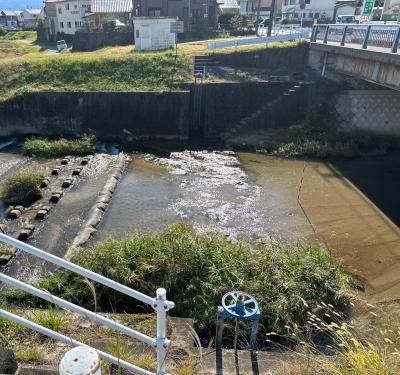 取水堰　施工前