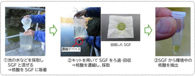 核酸濃縮キットを用いた環境中の核酸の濃縮・回収の流れ