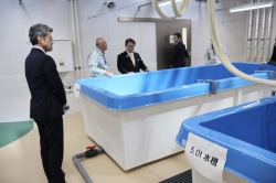 0222-3 無脊椎動物・藻類生産棟