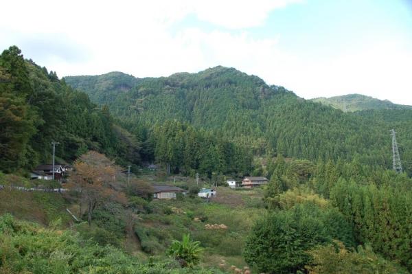 新設楽大橋北側2010年