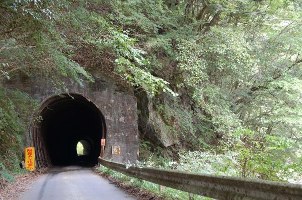 木々に覆われた第1トンネル