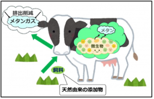 メタンガス削減飼料のイメージ図