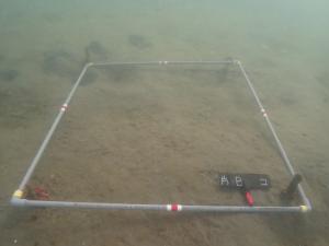 12月・片名・コロイダルシリカ法