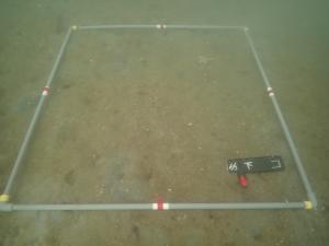 12月・佐久島DL-3・コロイダルシリカ法