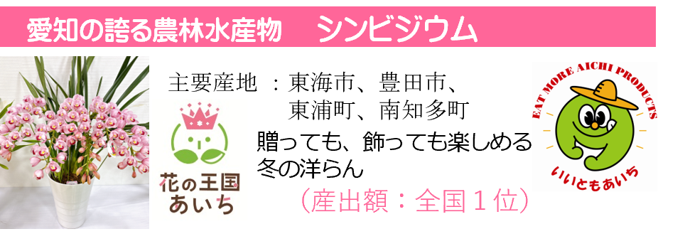 R8名刺(シンビジウム)