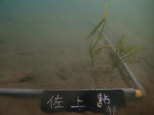 3月・粘土法・佐久島DL-1