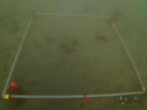 3月・粘土法・片名