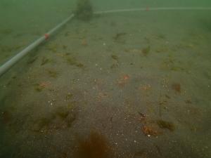 3月・コロイダルシリカ法・片名