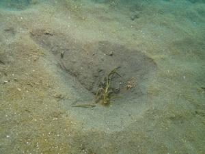 12月・粘土法・片名