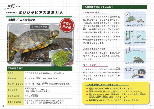 ページの見開きの一例