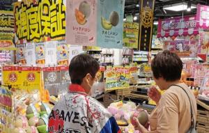2025年度の実施状況（香港）