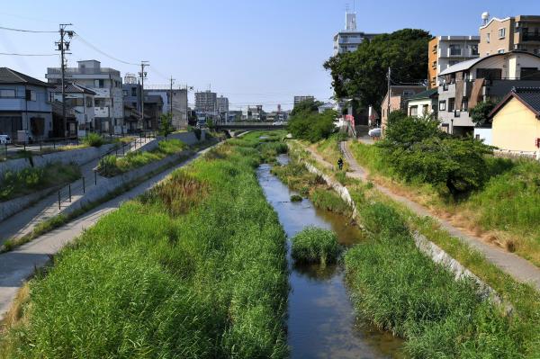 伊賀川の「多自然川づくり」